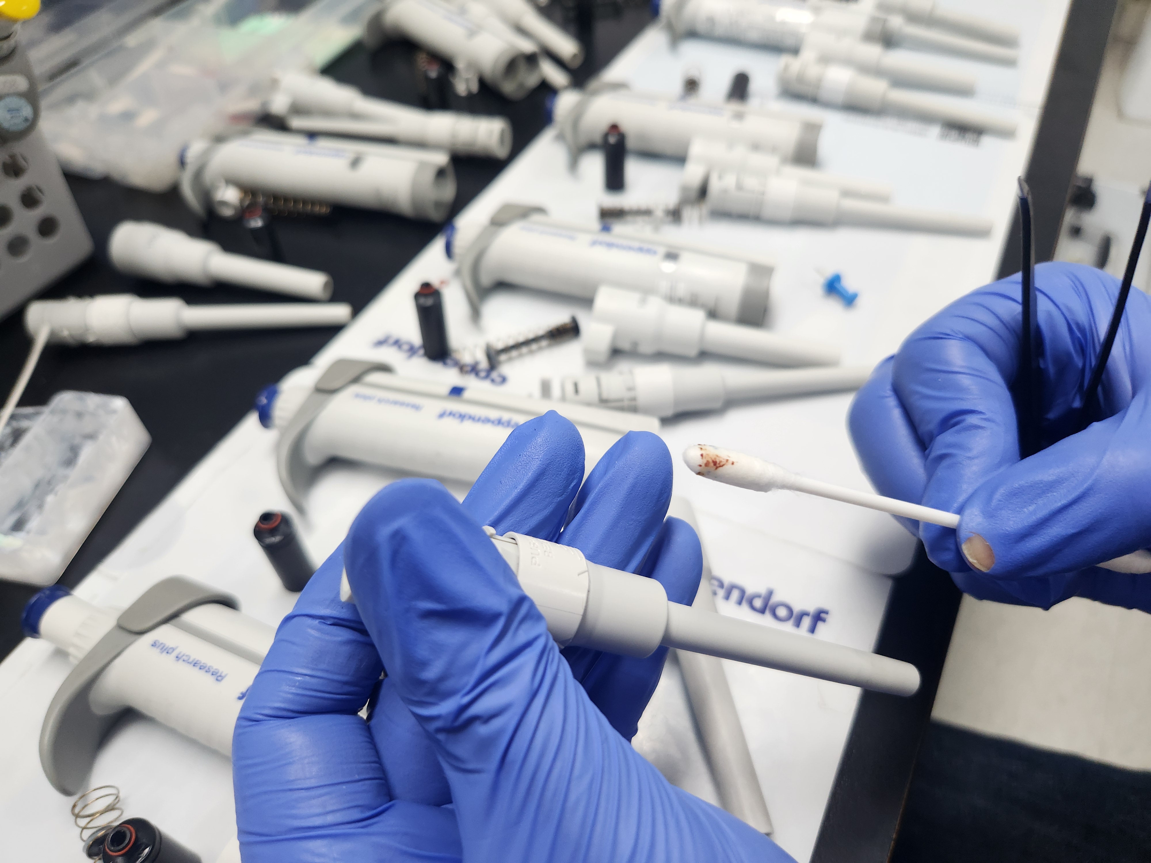 산업용 피펫(Pipette) 방문 점검 서비스